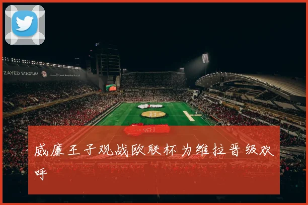 威廉王子观战欧联杯为维拉晋级欢呼